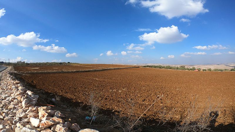 صنعنا مجد بلاد الأرز ولن نركع: بيادرنا مقاومة