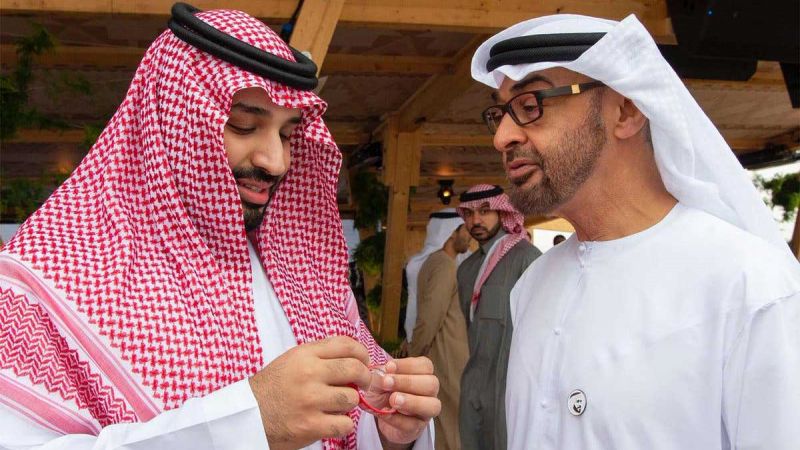 ابن سلمان أخذ بنصيحة ابن زايد للإطاحة بسلفه