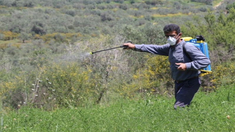  بخطوات استباقيّة.. الجنوب يكافح الجراد