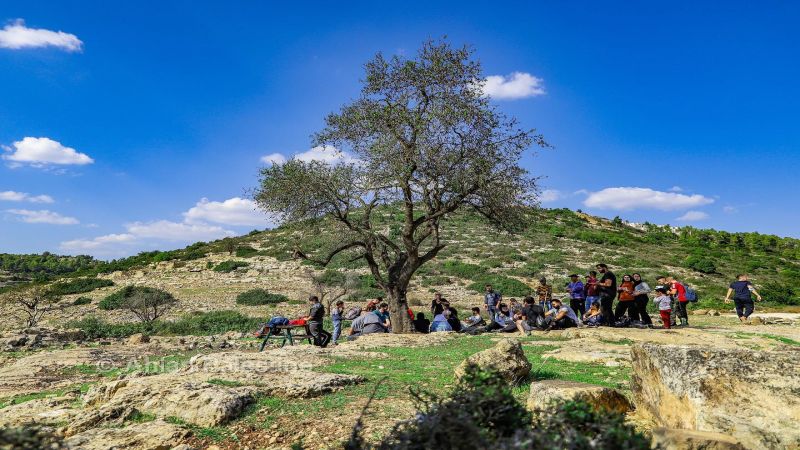 عن إدوارد ومحمود والسيد... وفلسطين!