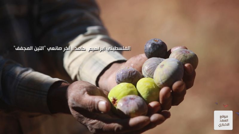 الفلسطيني ابراهيم &nbsp;حامد.. آخر صانعي &quot;التين المجفف&quot;