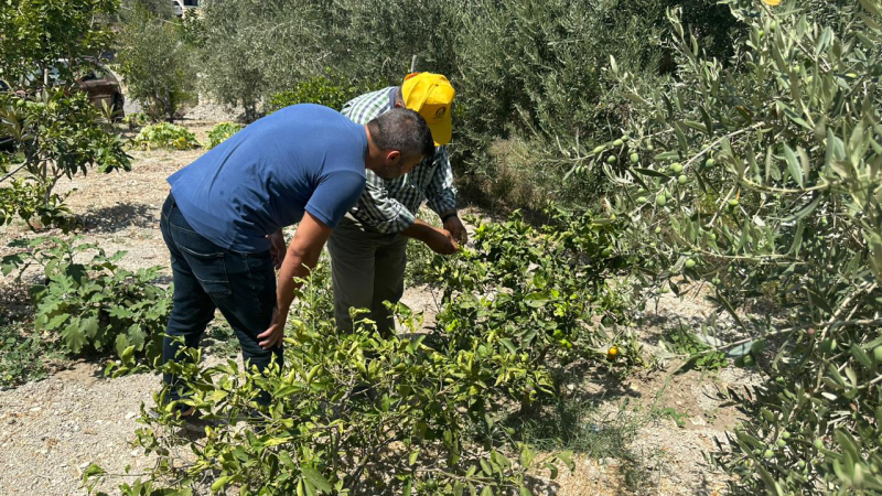 أنشطة متنوعة للجنة التنمية الزراعية لحزب الله في صيدا والجوار خلال آب الحالي