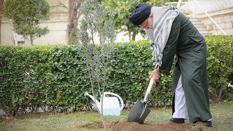 الإمام الخامنئي يوجّه تحية إكبار وإجلال للشعب الفلسطيني: نتذكركم دائمًا&nbsp;