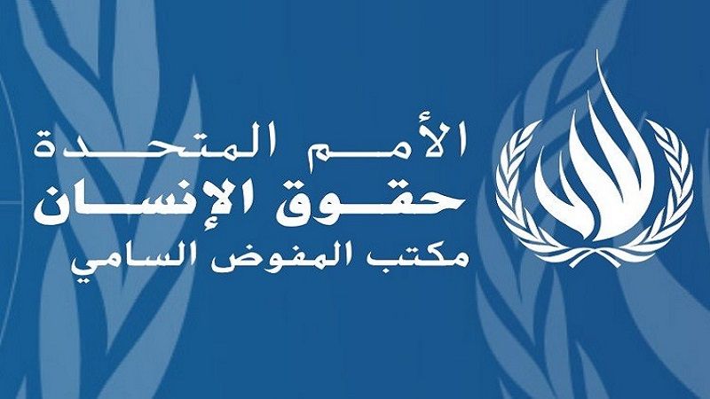 المفوضية السامية لحقوق الإنسان: سنطلب إجراء تحقيق في استهداف "إسرائيل" قرية أيطو شمال لبنان والذي أدى إلى مقتل (استشهاد) 23 شخصًا