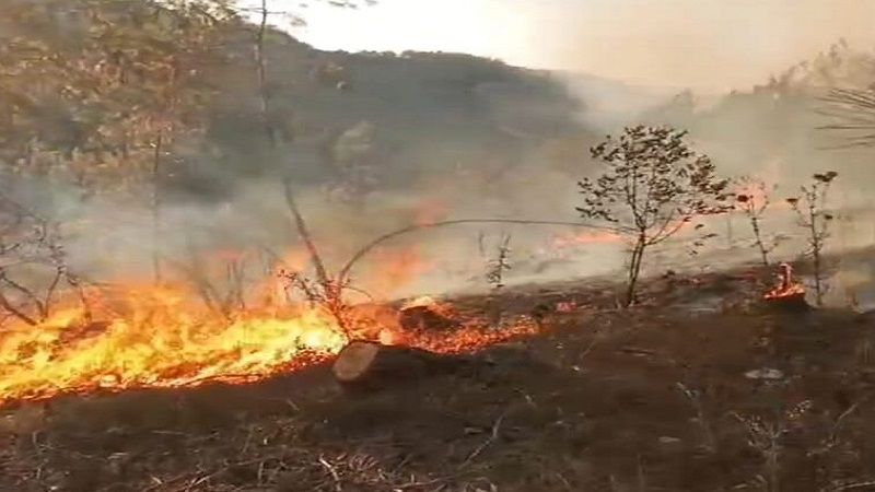 لبنان| اندلاع حريق كبير في أحراج بلدة كفر قطرة بقضاء الشوف