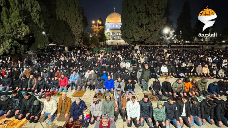 بالصورة- فلسطين المحتلة | آلاف المصلين يؤدون صلاتي العشاء و"التراويح" في المسجد الأقصى المبارك 